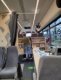 pictabus2024-25