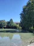 etang pique-nique
