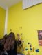 prepa_graff_canards