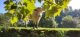 sortie_coulon_marais_3