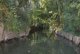 sortie_coulon_marais_5